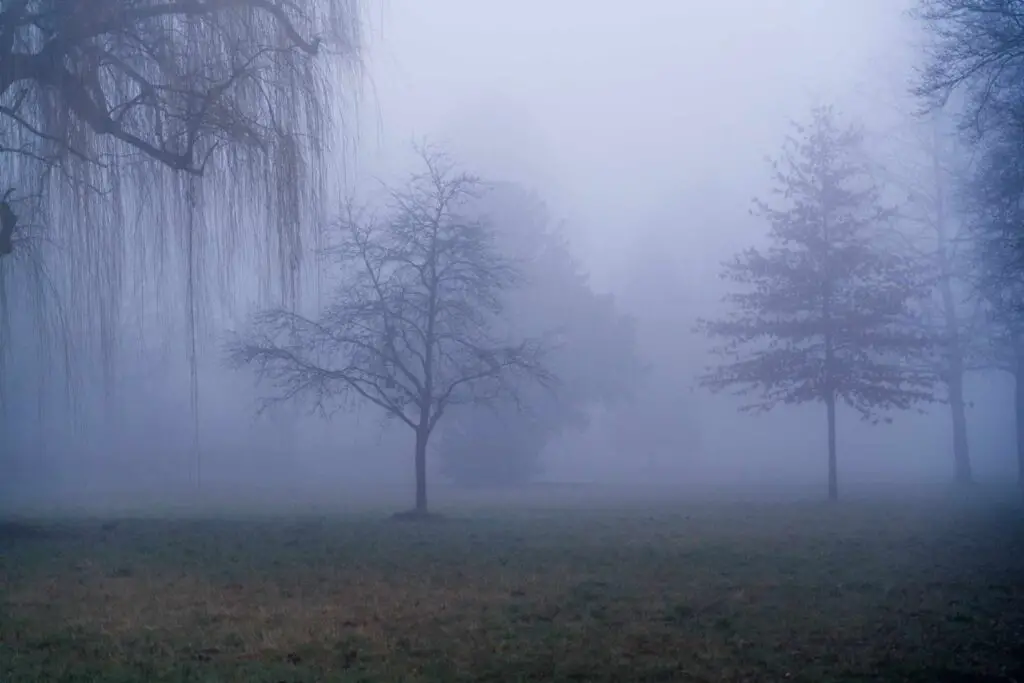Fotomotiv im Nebel