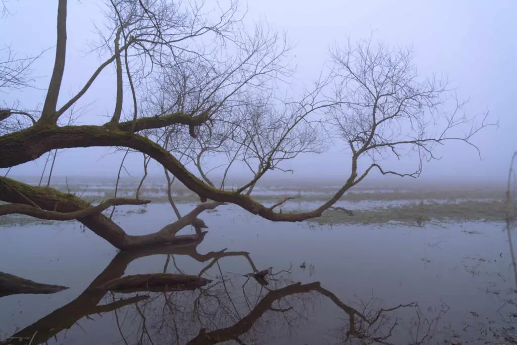 Wasser und Nebel fotografieren