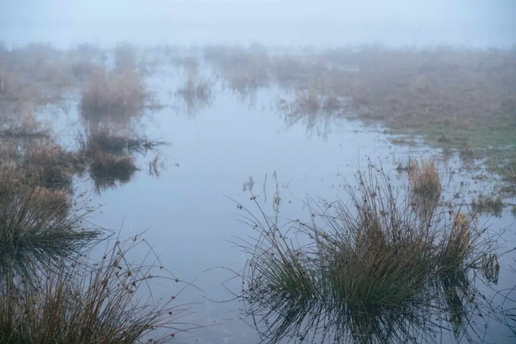 Wasser und Nebel fotografieren