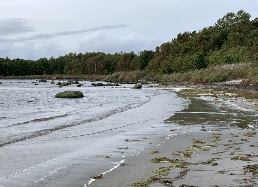 Strand auf Hasslö