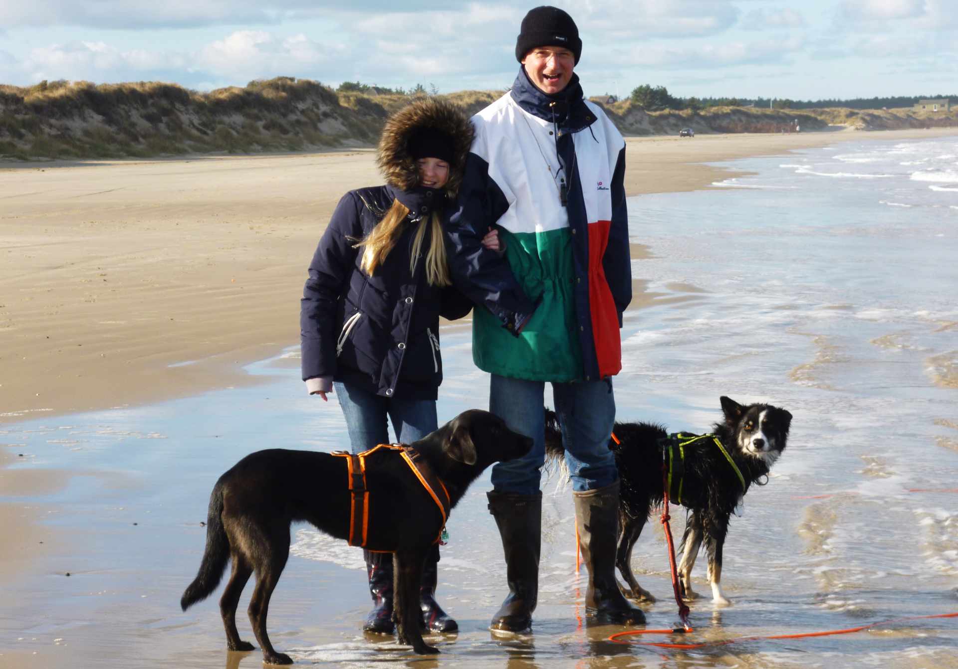 Ferienhausurlaub in Dänemark mit Hund – 7 Dinge zu beachten
